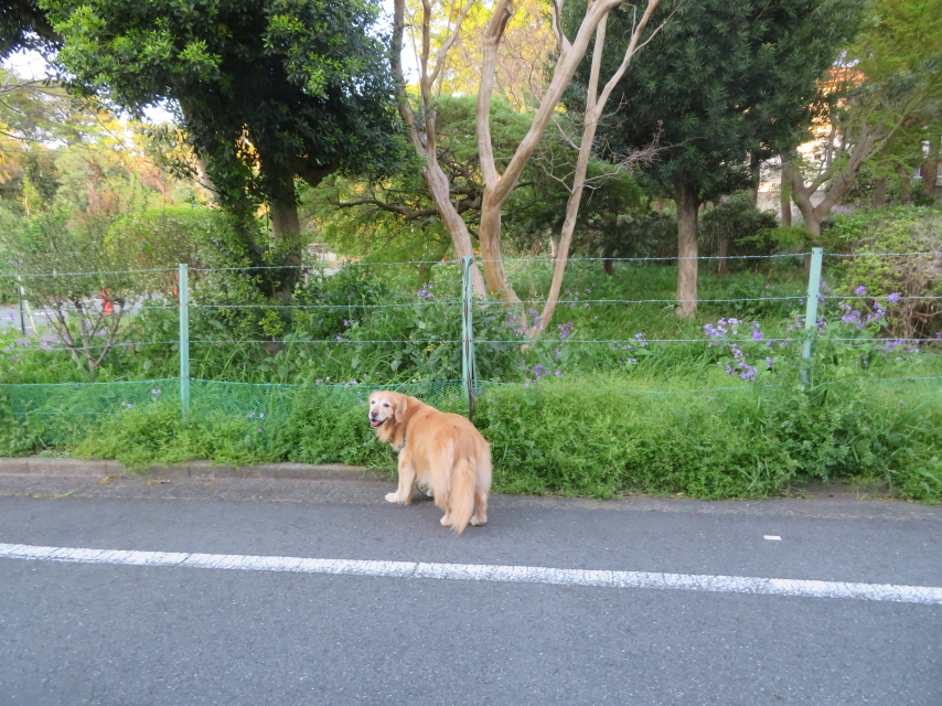 ファイル 9069-5.jpg