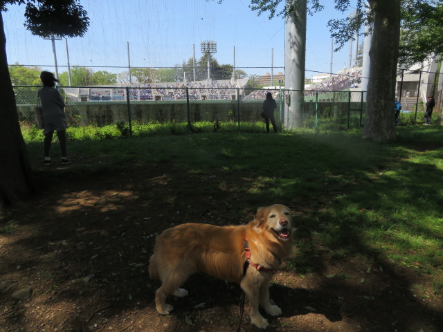 ファイル 9071-4.jpg