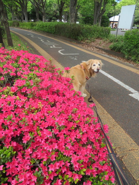 ファイル 9072-3.jpg