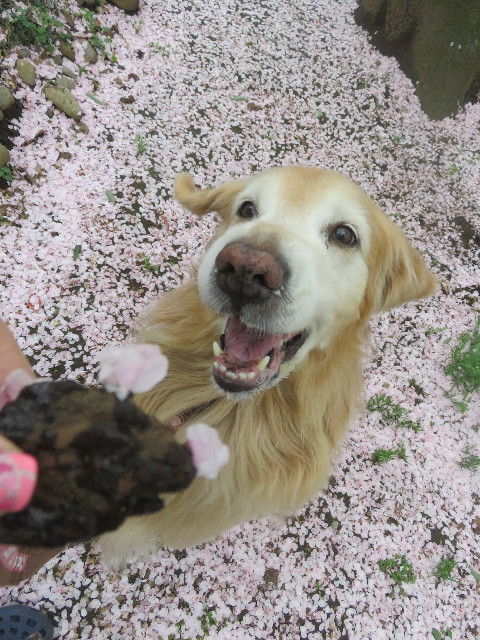 ファイル 9073-1.jpg