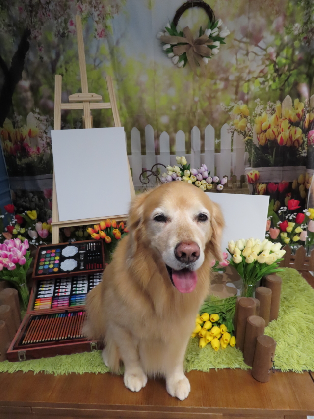 ファイル 9073-3.jpg