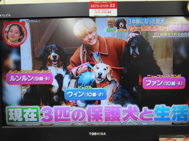 ファイル 9074-3.jpg