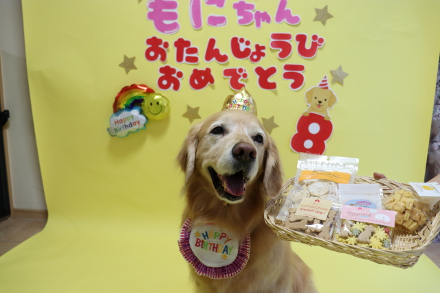 ファイル 9075-3.jpg