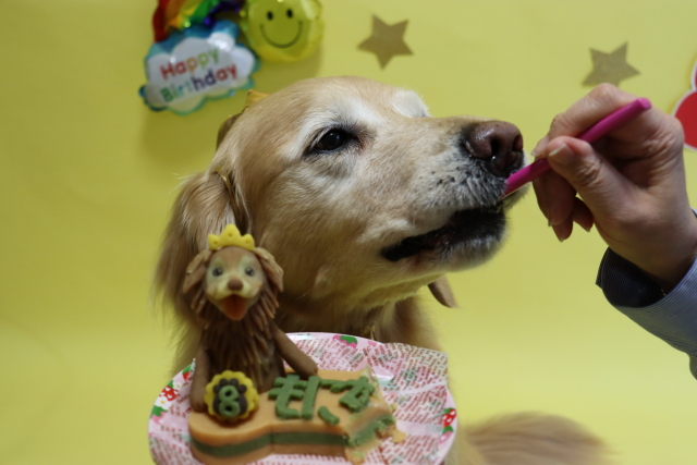 ファイル 9076-1.jpg