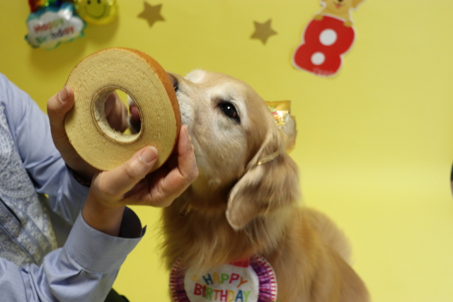 ファイル 9076-2.jpg