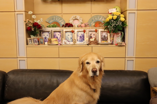 ファイル 9076-5.jpg