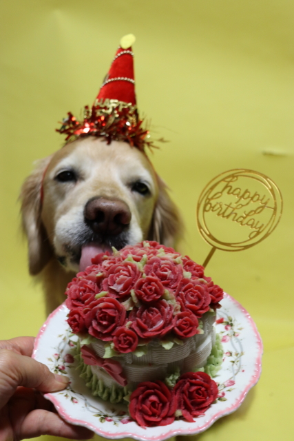 ファイル 9077-1.jpg