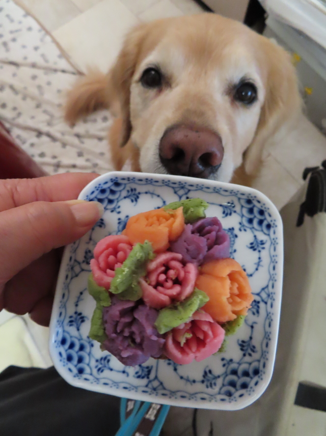 ファイル 9077-4.jpg