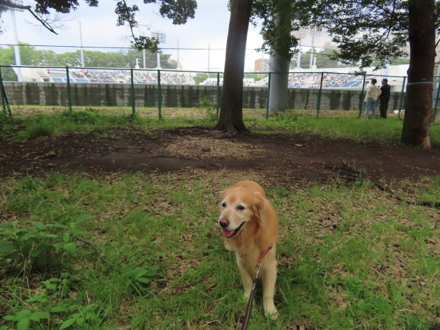 ファイル 9107-1.jpg