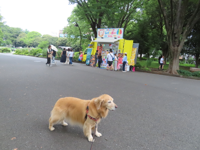 ファイル 9107-4.jpg