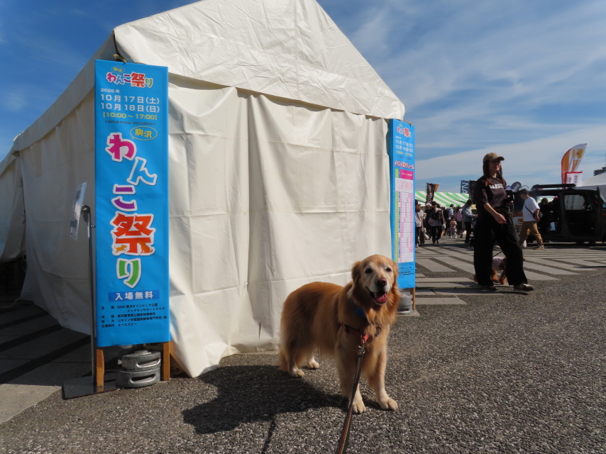 ファイル 9138-1.jpg
